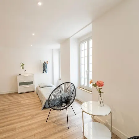 Wonderhost, Quartier Du Chateau, Superbe Avec Parking Aragon * Pau
