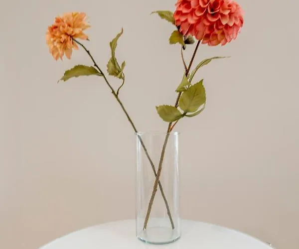 Wonderhost, Quartier Du Chateau, Superbe Avec Parking Aragon *