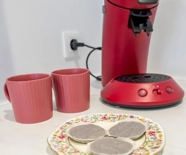 Wonderhost, Quartier Du Chateau, Superbe Avec Parking Aragon * Pau